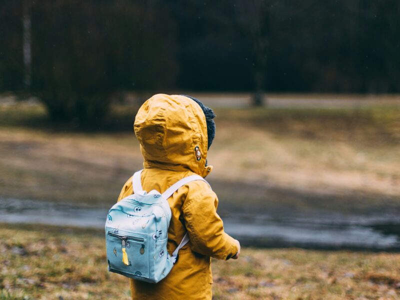 Understanding Emotional Regulation in Autism